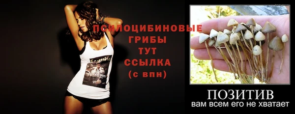 ешки Абдулино