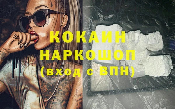 стаф Абинск