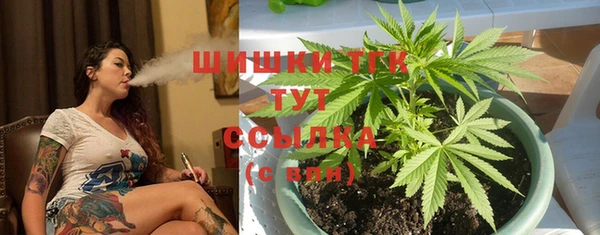 амф Абаза