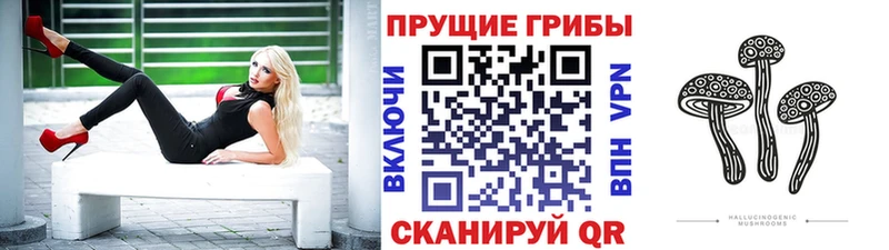 Галлюциногенные грибы Psilocybine cubensis  MEGA зеркало  Химки 